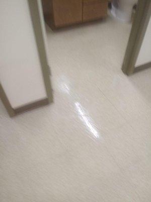 Floor Stripping & Waxing in Lexington, SC