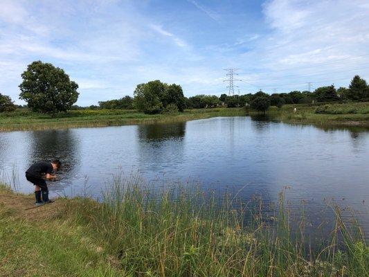 One of the ponds with smaller panfish and smallmouth bass