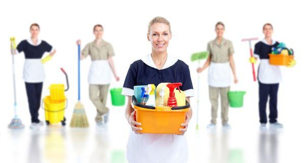 We Have the best team to clean your property.