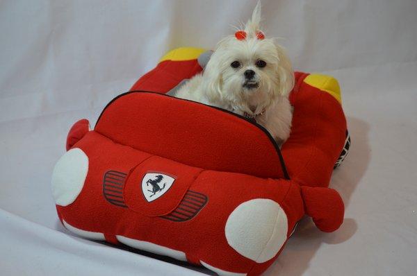 Super-comfy car dog beds.  Fer*ari in red and yellow and Merc*des in black.