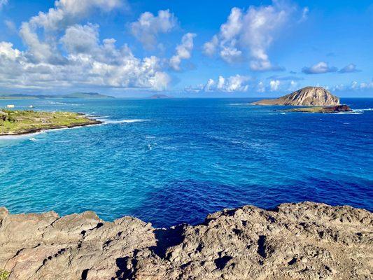 Best Oahu Tours