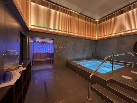 Hydrotherapy area- sauna and steam room pictured