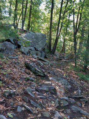 Goat Rock Ridge Trail