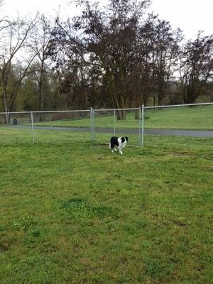 There is a trail that owners can take leashed pets on if you'd like to spend time at the river.