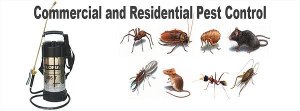 Commercial and Residential Pest Control