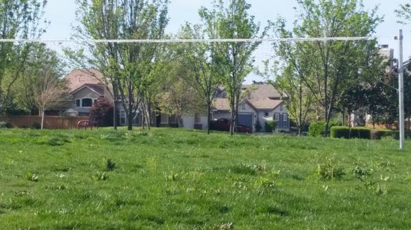 Volleyball  Net