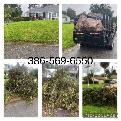 Removing yard waste right before hurricane Ian