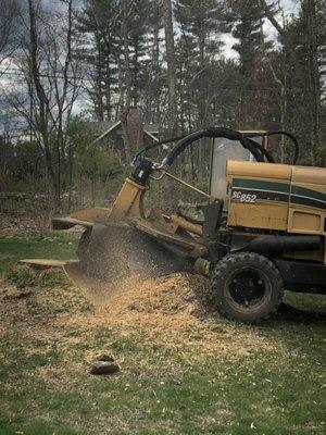 Stump grinding