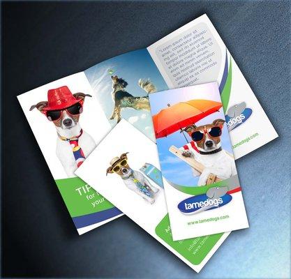 Tri-fold Brochures