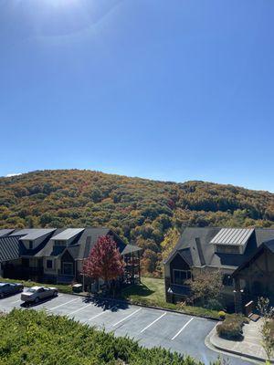 View from back porch of a unit.