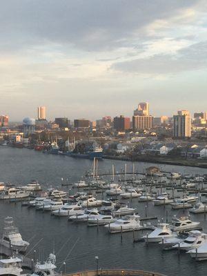 Overhead view of the marina