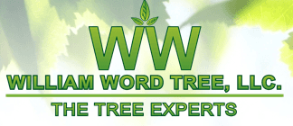 William Word's Tree Experts