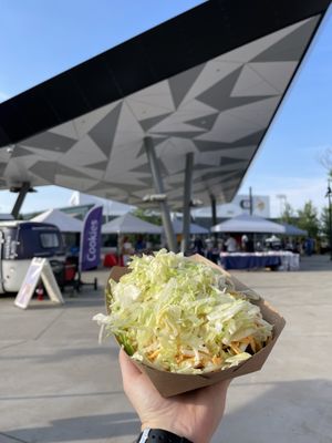 Loaded nachos from TCO food truck