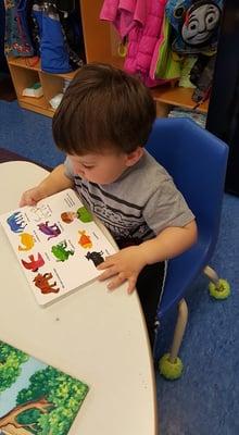 Toddlers show early reading skills by reading independently