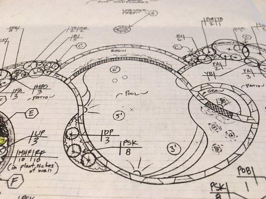 Plan for one of my custom pool designs in Liberty Hill,TX.