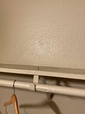 Disgusting shelf above closet area