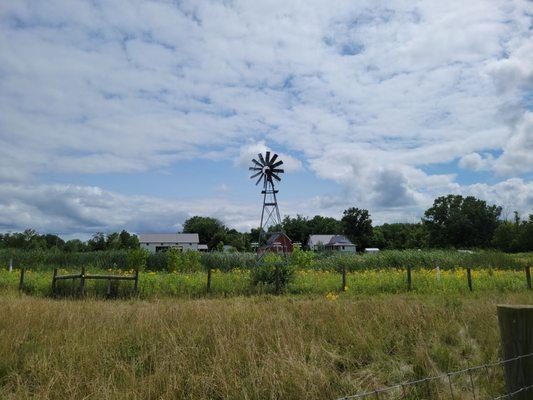 Windmill and farm