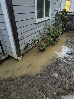 Water against our home foundation because ZA graded backyard pitched into the house. Had to hire others to fix.