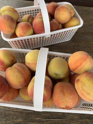 Fresh peaches