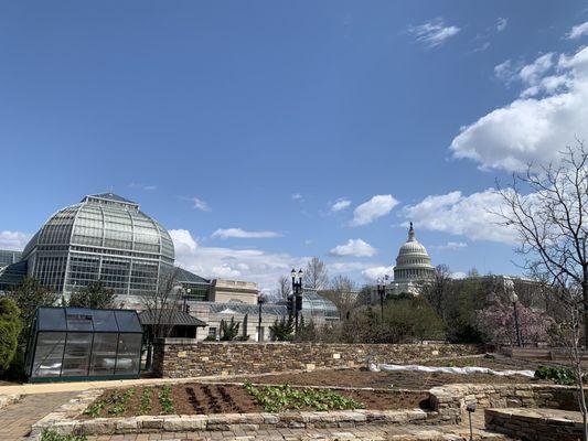 View of the US Botanical Building and the Capitol from Bartholdi Park.