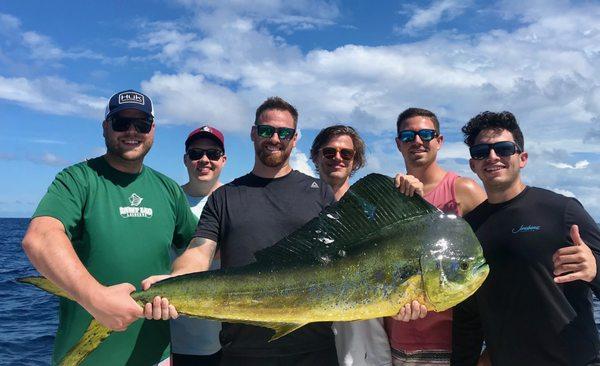 Bull Mahi