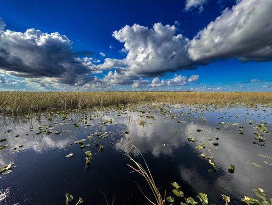 Everglades