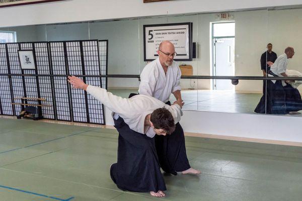 adult martial arts aikido art