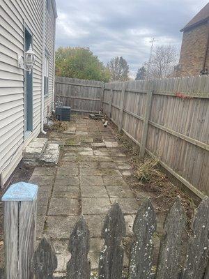 (Yard) Clean up! After