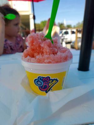 Sno Biz Shaved Ice