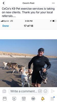 CeCe's K9 Pack Runs