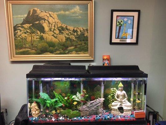 A fish tank for more relaxed environment.