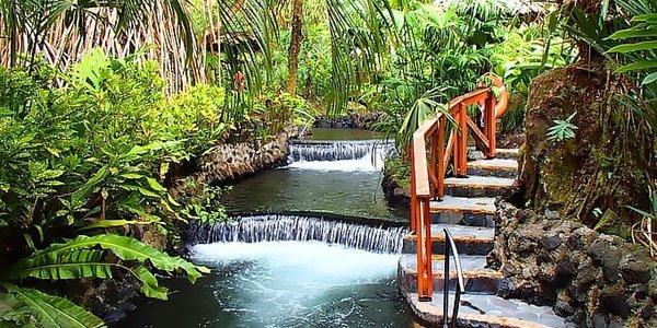 The hot springs from the Arenal Volcano flow through  Tabacon Resort & Spa, Costa Rica