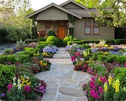 paver walkway with plant surroundings