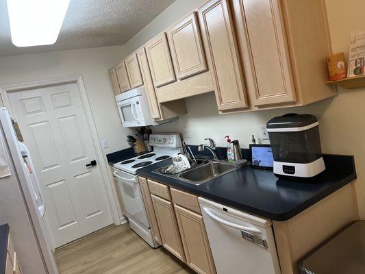 Old cabinets needs paint