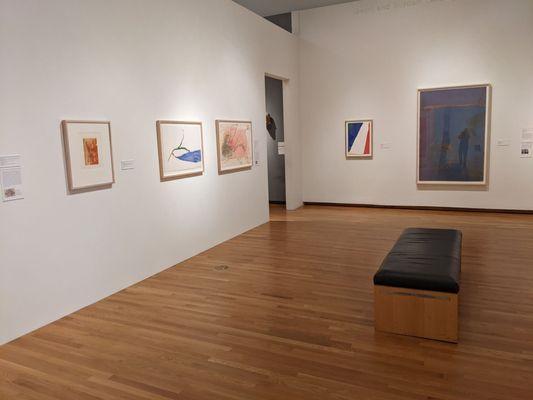 Helen Frankenthaler exhibit