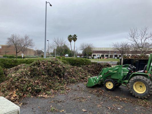 Yard debris cleanup at Walmart in Folsom.