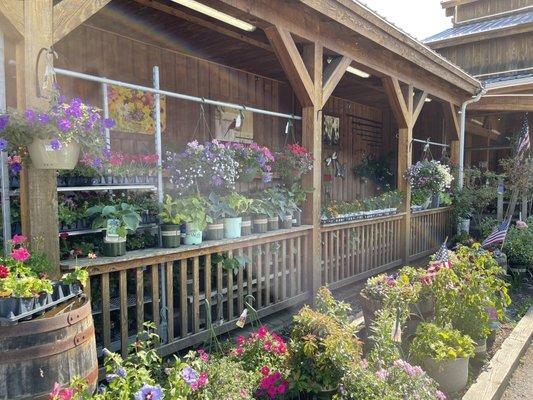 The walkway/porch that leads inside, decked out with plants and garden decorations.