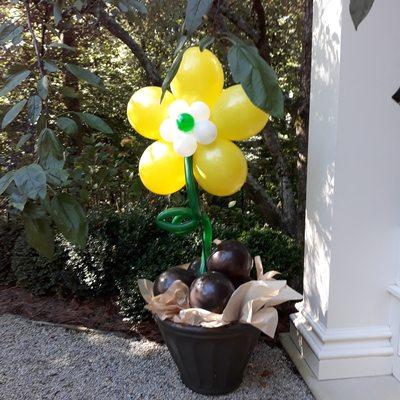 Balloon daisy decor or centerpiece