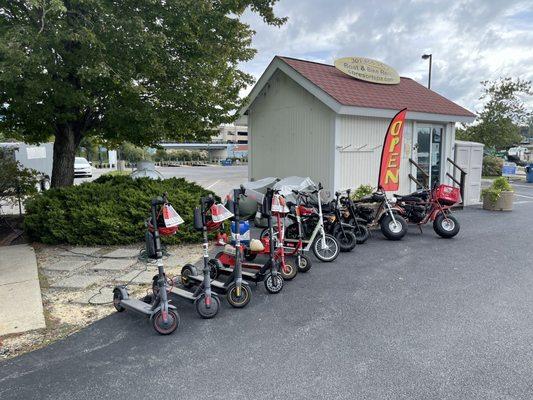 Electric scooters, electric bikes, motor bikes & golf cart for rent