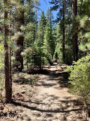 Trail Popular with Bikers and Hikers