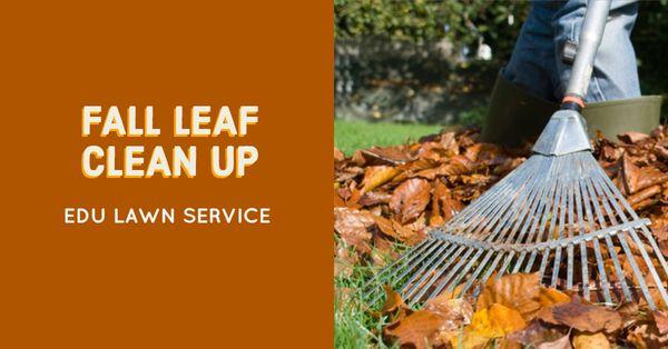 Fall Leaf Clean Up's