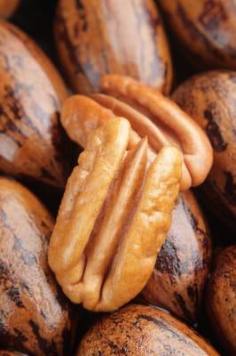 We offer Pecan Trees, Alond Trees, Walnut Trees and more.