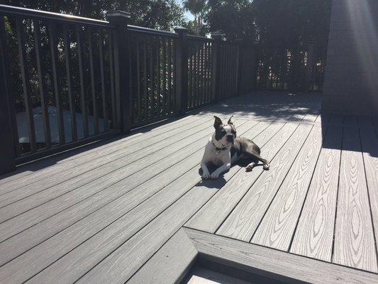 New railing & deck.