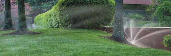 Lawn maintenance, certified fertilization and irrigation specialists