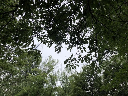 Foliage frames a tranquil Wisconsin sky at the Happy Acres Kampground.