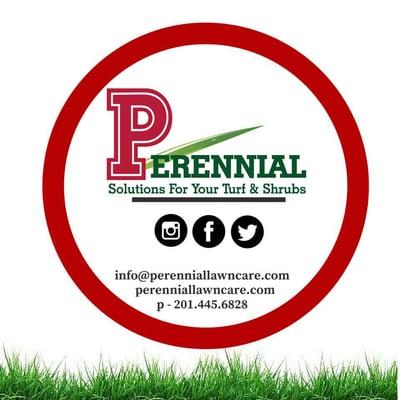 Perennial Lawn Care