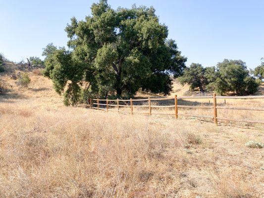 Rivendale Park And Open Space- Taylor Trailhead