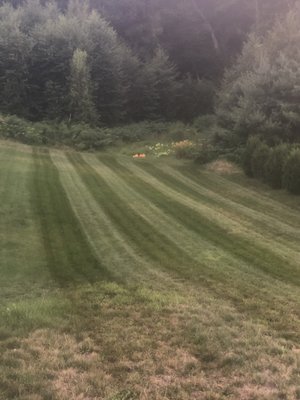 Mowing