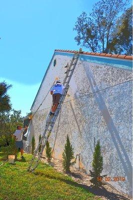 Spray wash/seal/paint 2/14/19 without protecting our trees!