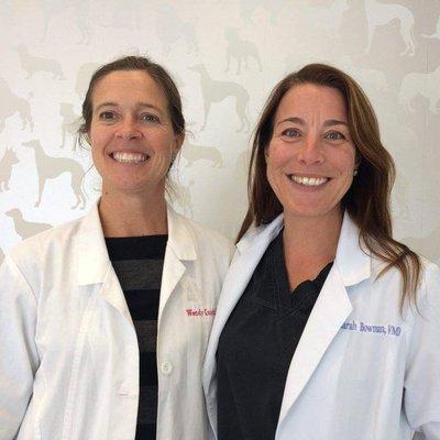 Dr. Bowman and Dr. Knight CityPaws - Owners